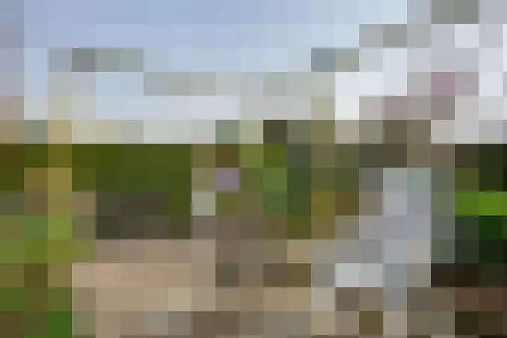 Grondmolen 21 Barendrecht thumbnail 27