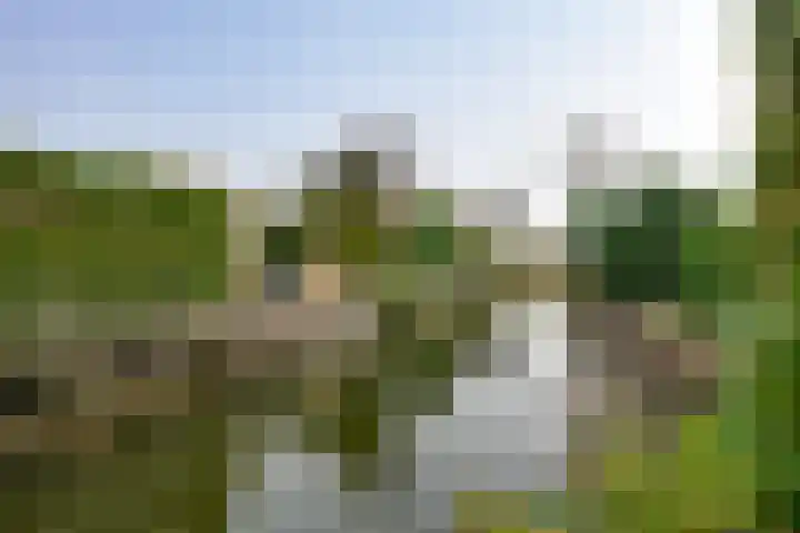 Grondmolen 21 Barendrecht thumbnail 29