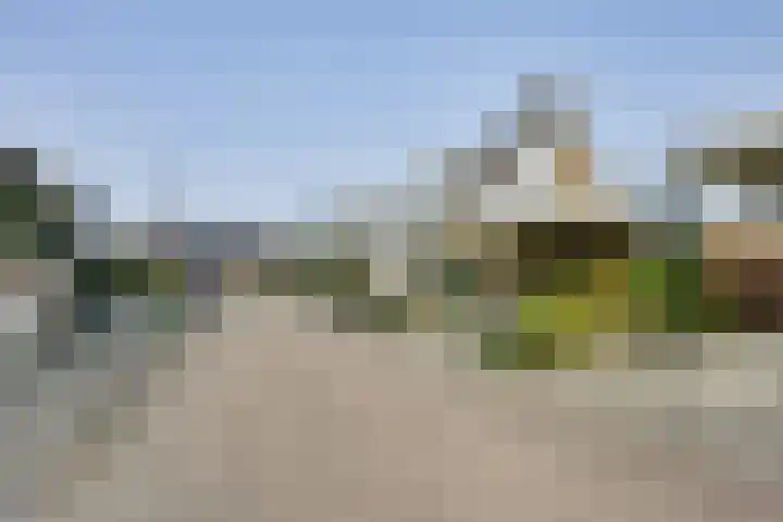 Grondmolen 21 Barendrecht thumbnail 39