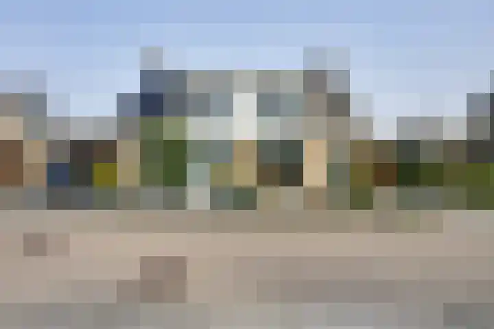Grondmolen 21 Barendrecht thumbnail 7
