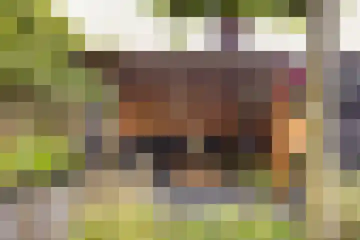 Groningenlaan 54 Veendam thumbnail 35