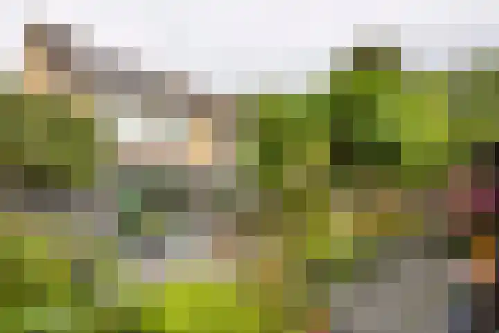 Groningenlaan 54 Veendam thumbnail 38