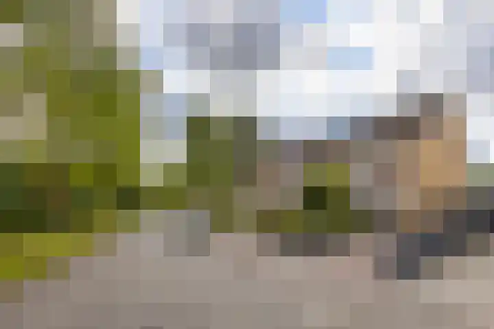 Groningenlaan 54 Veendam thumbnail 40