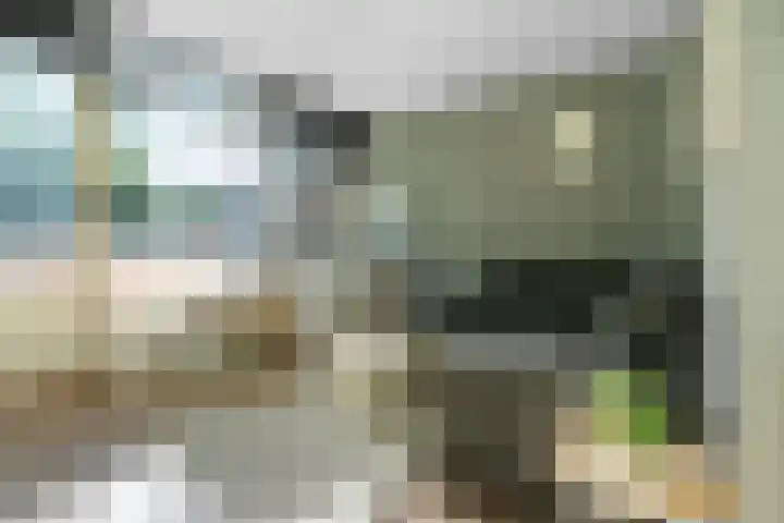 Groningensingel 1103 Arnhem thumbnail 8