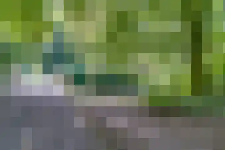 Groningensingel 1127 Arnhem thumbnail 29