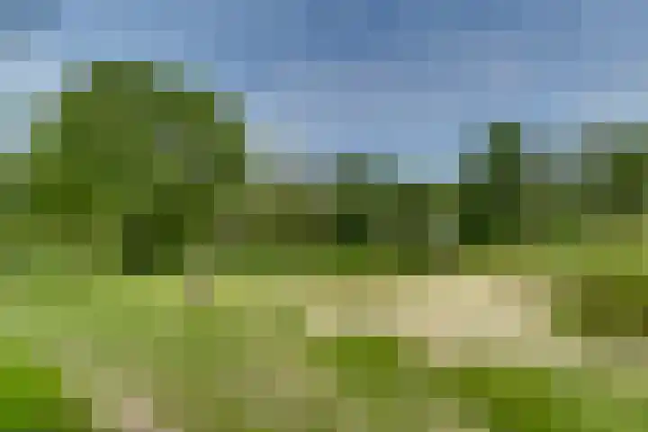 Groningensingel 1127 Arnhem thumbnail 30