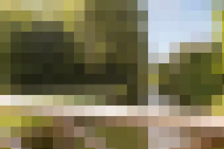Groningensingel 555 Arnhem thumbnail 46