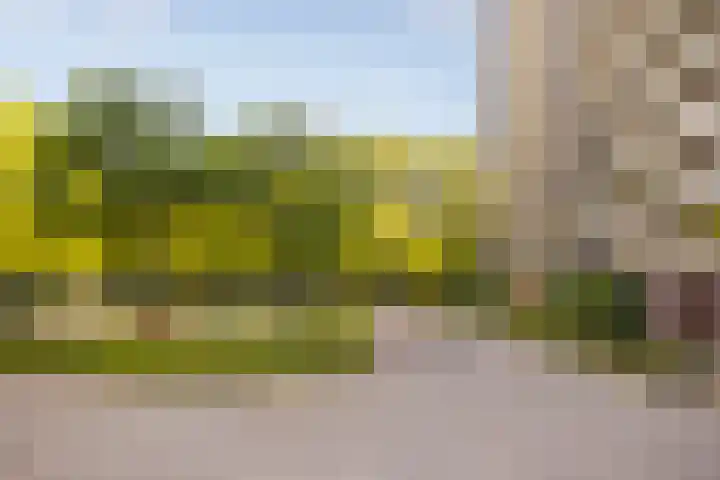 Groningensingel 559 Arnhem thumbnail 23