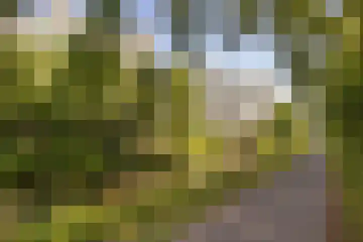 Groningensingel 559 Arnhem thumbnail 26