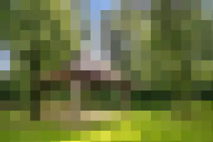 Groningensingel 571 Arnhem thumbnail 19