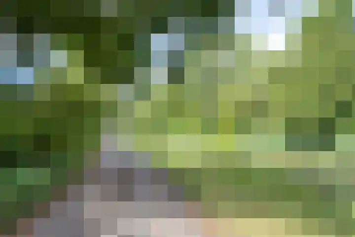 Groningensingel 571 Arnhem thumbnail 22