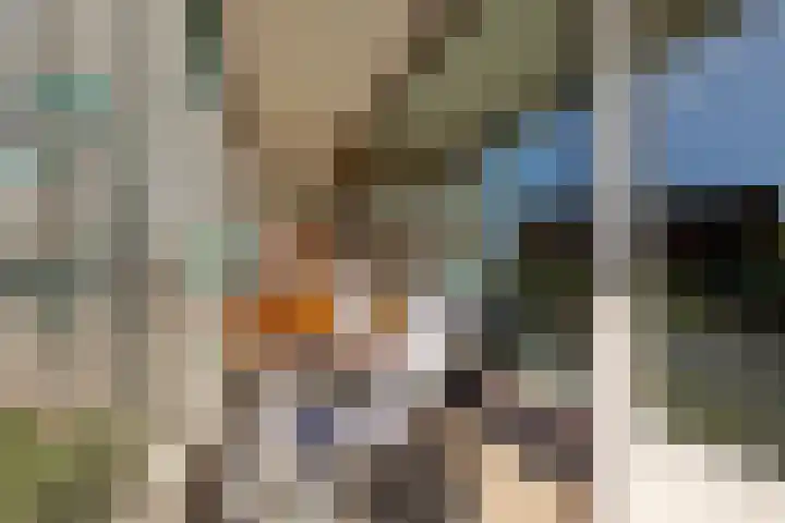 Groningensingel 603 Arnhem thumbnail 19