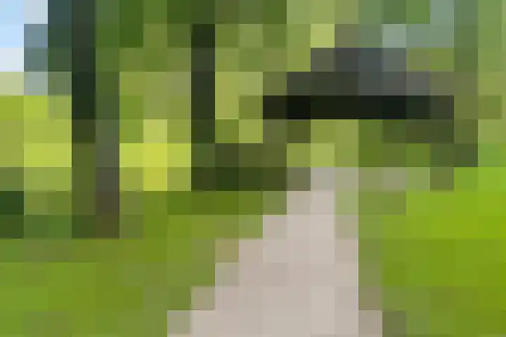 Groningensingel 603 Arnhem thumbnail 36