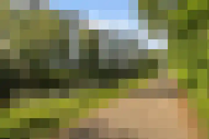 Groningensingel 603 Arnhem thumbnail 37