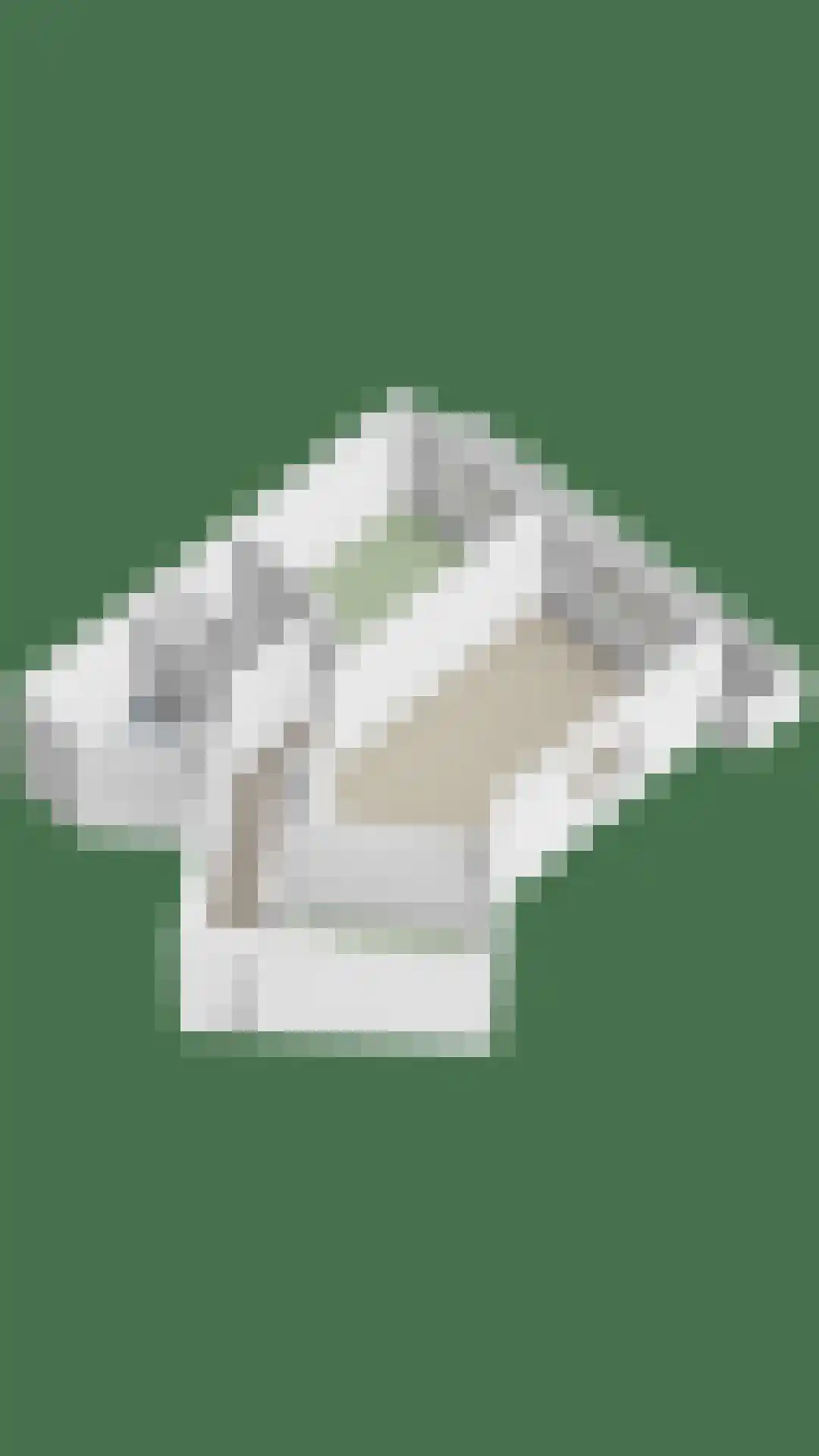 Groningensingel 657 Arnhem thumbnail 43