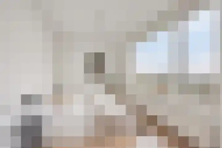 Groningensingel 931 Arnhem thumbnail 20