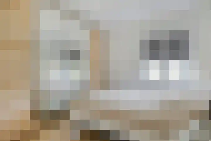 Groningensingel 943 20 Arnhem thumbnail 20