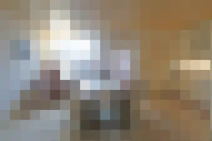 Groningerstreek 9 Stroobos thumbnail 17