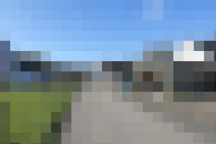 Groningerstreek 9 Stroobos thumbnail 47