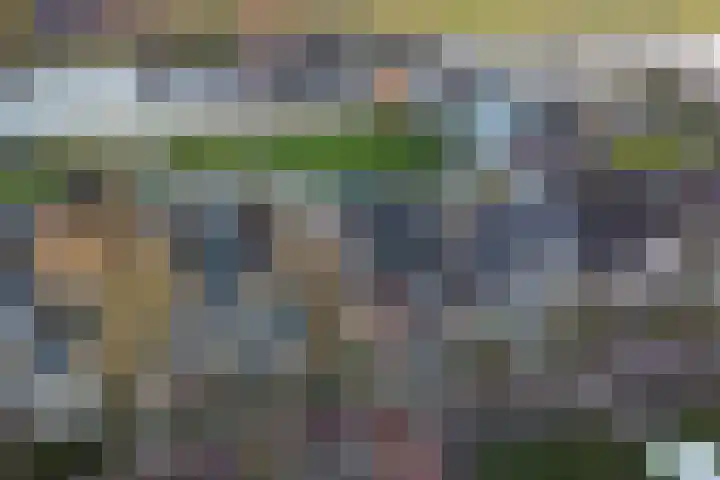 Groningerstreek 9 Stroobos thumbnail 53