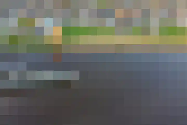 Groningerstreek 9 Stroobos thumbnail 57