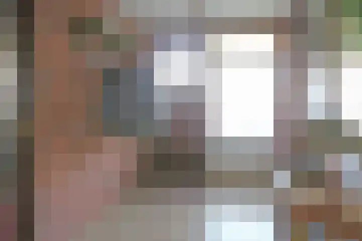 Groningerstreek 9 Stroobos thumbnail 7
