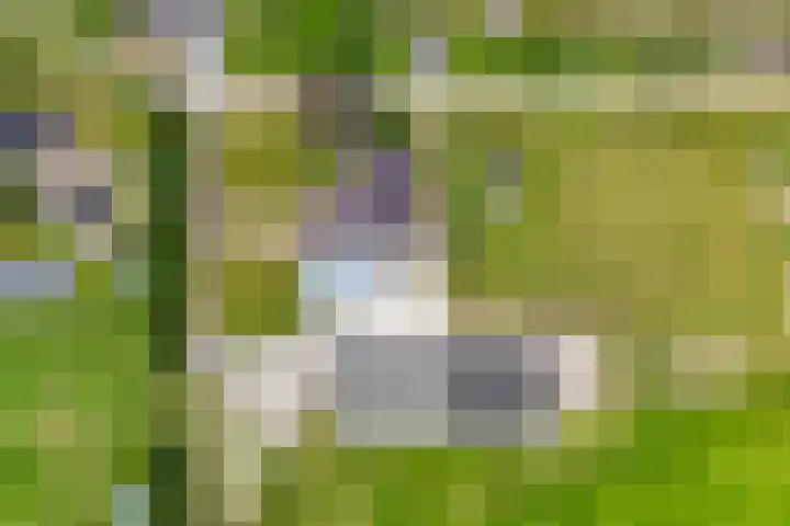 Groningerweg 48 A Peize thumbnail 100