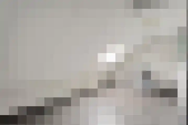 Groningerweg 48 A Peize thumbnail 25