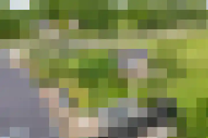 Groningerweg 48 A Peize thumbnail 39
