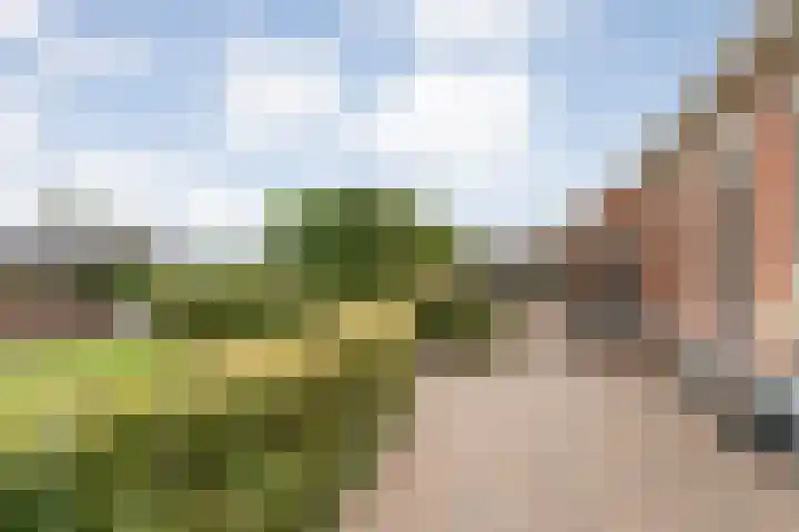 Groningerweg 48 A Peize thumbnail 40