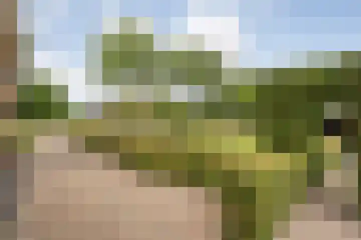Groningerweg 48 A Peize thumbnail 41