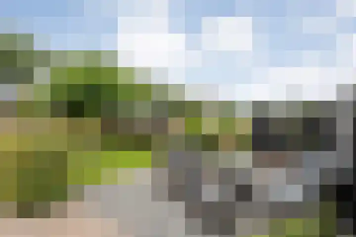 Groningerweg 48 A Peize thumbnail 42