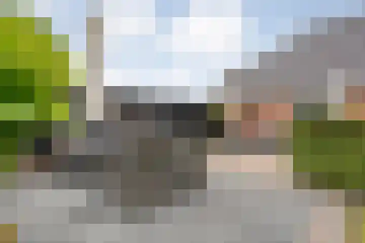 Groningerweg 48 A Peize thumbnail 44