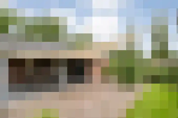 Groningerweg 48 A Peize thumbnail 47