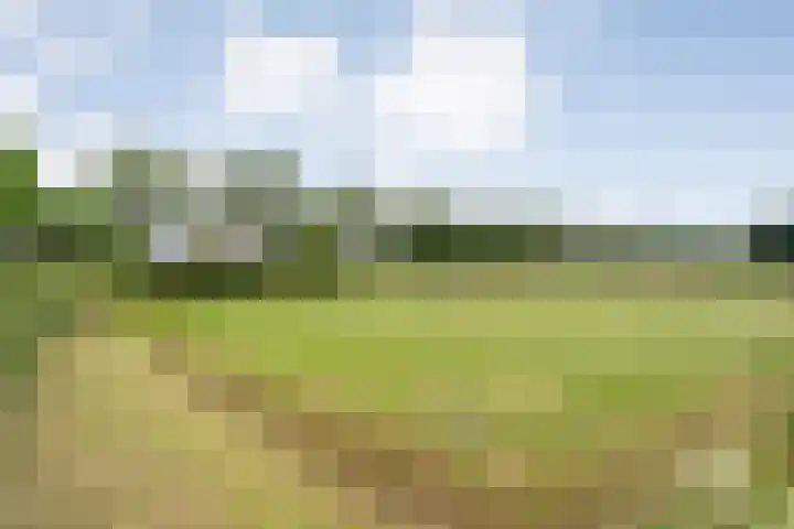 Groningerweg 48 A Peize thumbnail 50