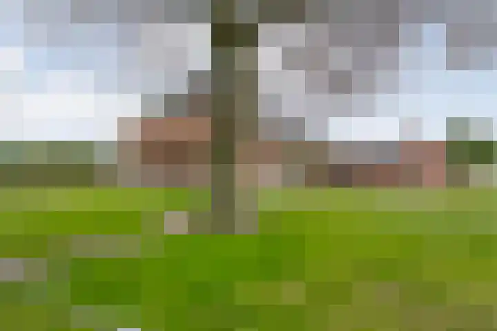 Groningerweg 48 A Peize thumbnail 52