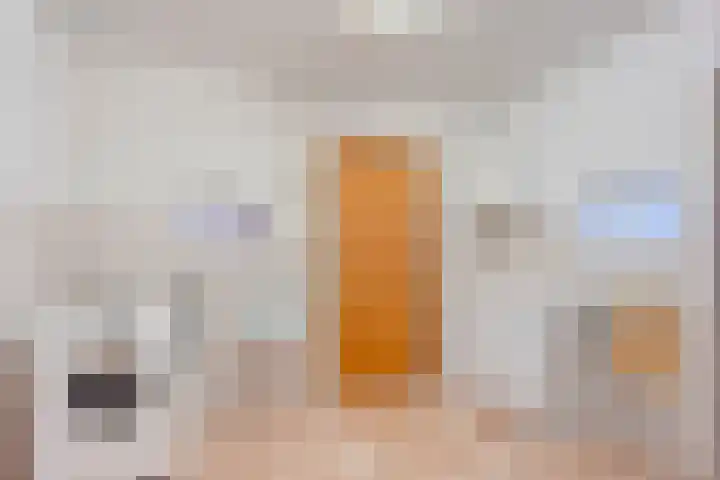 Groningerweg 48 A Peize thumbnail 66