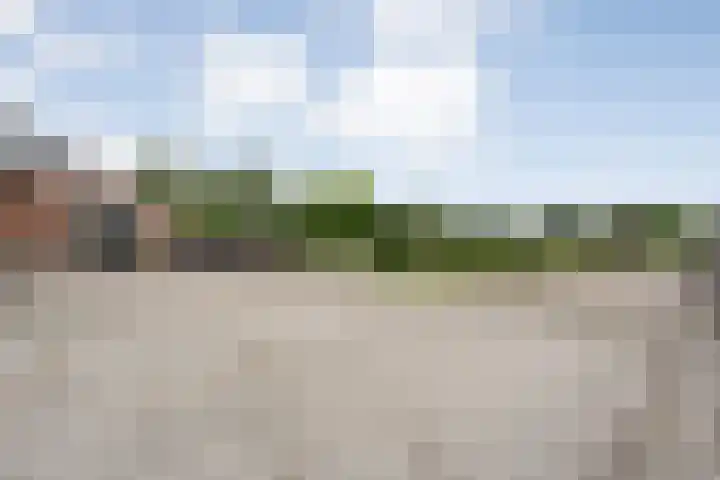 Groningerweg 48 A Peize thumbnail 85