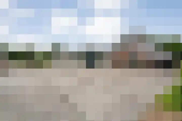 Groningerweg 48 A Peize thumbnail 87