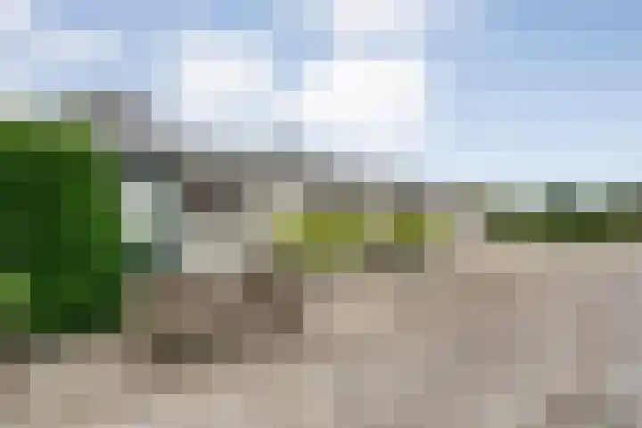 Groningerweg 48 A Peize thumbnail 90