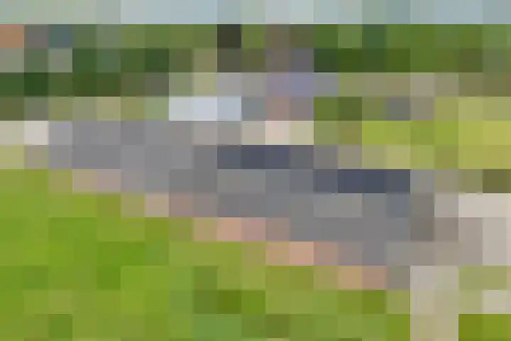 Groningerweg 48 A Peize thumbnail 94