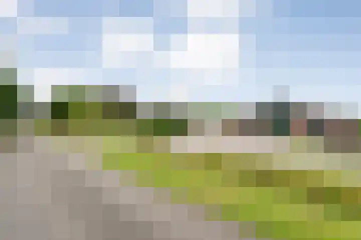 Groningerweg 48 A Peize thumbnail 97