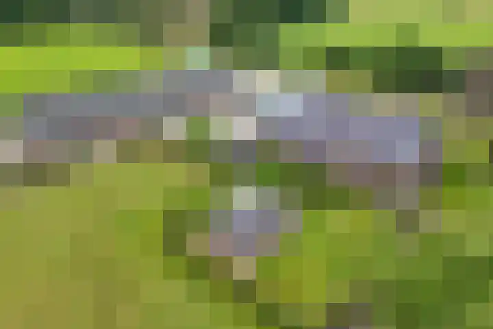 Groningerweg 48 A Peize thumbnail 98