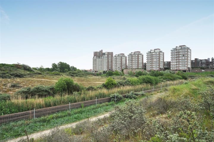 Groningsestraat 305 in 's-Gravenhage foto