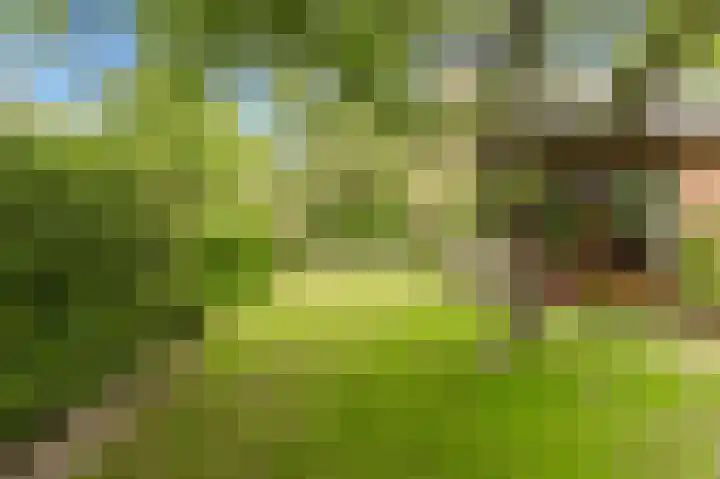 Groot Barlaken 60 Heiloo thumbnail 40