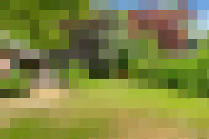 Groot Barlaken 60 Heiloo thumbnail 5