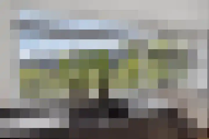 Groot Berkenbos 24 IJmuiden thumbnail 14