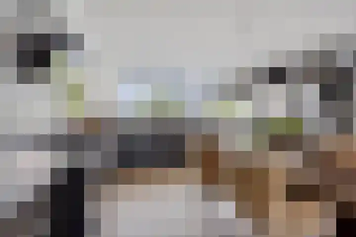 Groot Berkenbos 24 IJmuiden thumbnail 15