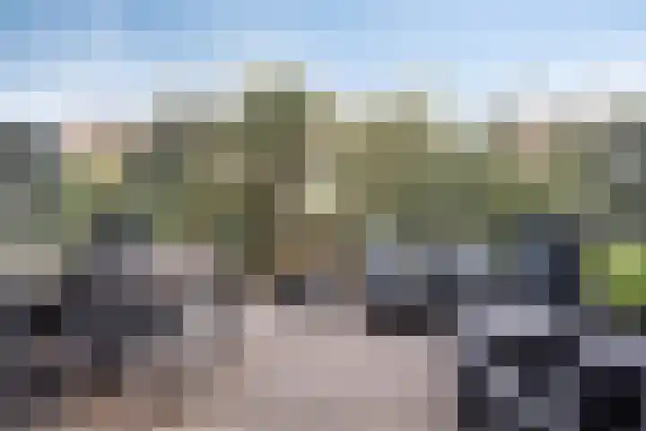 Groot Berkenbos 24 IJmuiden thumbnail 17
