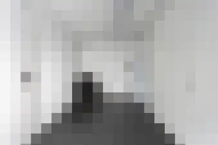 Groot Berkenbos 24 IJmuiden thumbnail 30